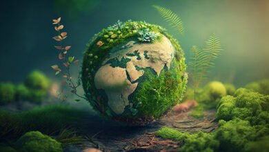 clipart:hjoadbutp9i= earth