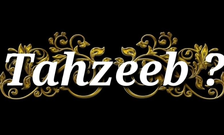 Tehzeeb Meaning in Urdu Recifest