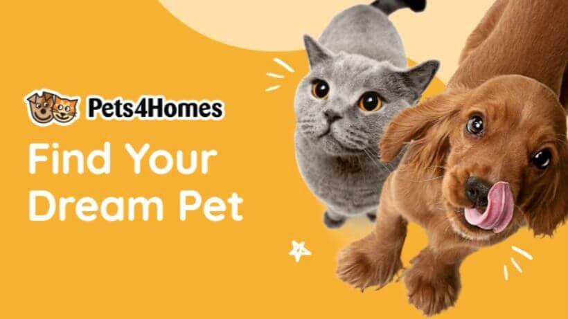 pets4homes