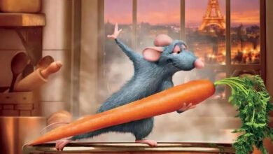 Remy:vuvr2yhzv9m= ratatouille