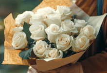 Best Flowers to Say "I'm Sorry" and Make Things Right