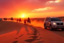 Desert Safari Abu Dhabi