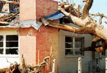 Storm Damage Restoration