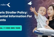Volaris Stroller Policy Essential Information For Parents