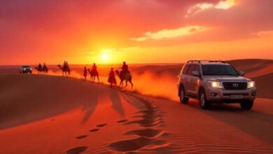 Desert Safari Abu Dhabi