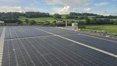 Why Commercial Solar Panels Make Sense for UK Businesses