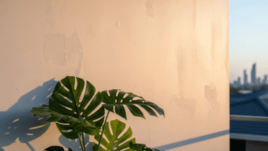 Maintaining Painted Walls in Gold Coast’s Humid Climate