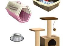 6 Must-Have Gadgets for Pet Parents Who Work From Home