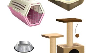 6 Must-Have Gadgets for Pet Parents Who Work From Home