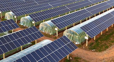 Agrivoltaics
