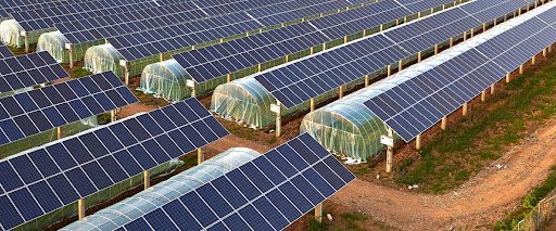 Agrivoltaics