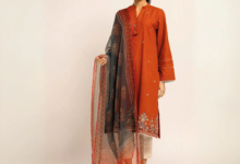 Discover Elegant Pakistani Suits Crafted for Modern UK Fashion Lovers