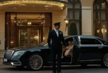 Luxury Chauffeur Service in Vienna