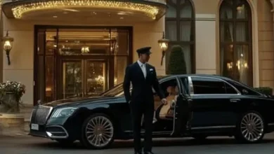 Luxury Chauffeur Service in Vienna